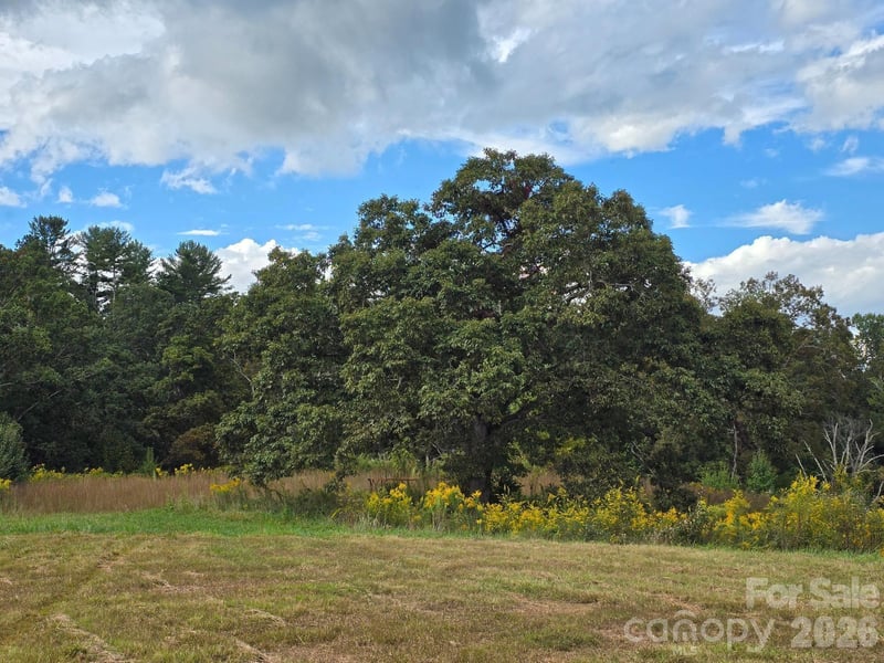 000 Cook Ln #24.87 Acres, Mills River, NC 28759