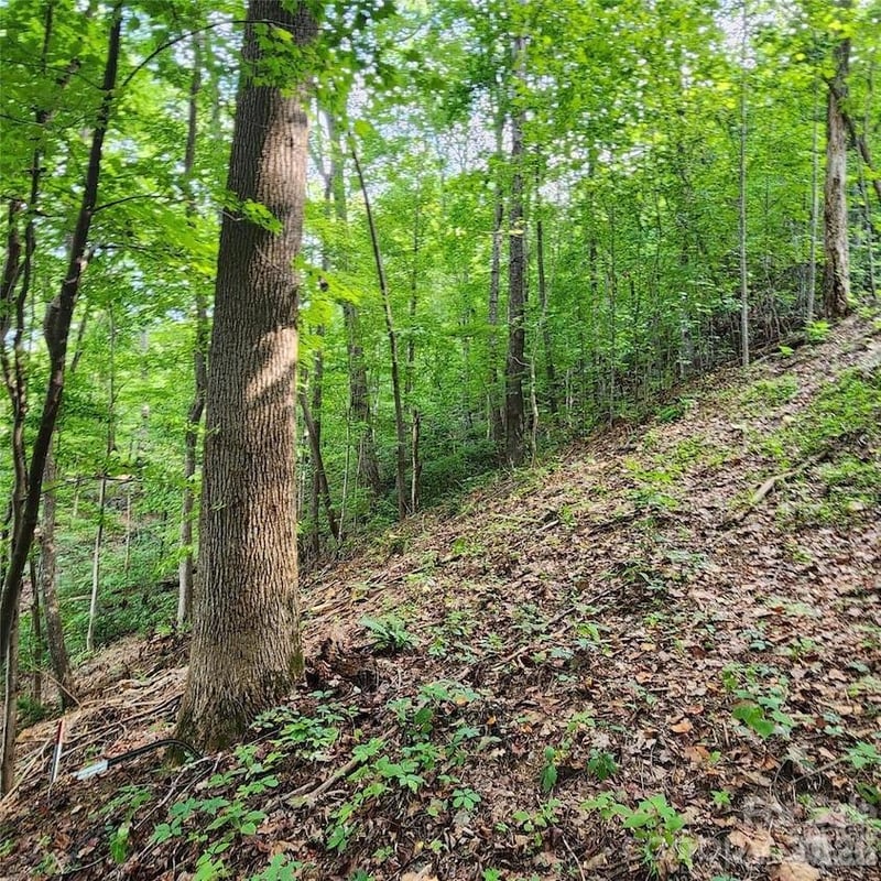 Switchback Rd, Lake Lure, NC 28746