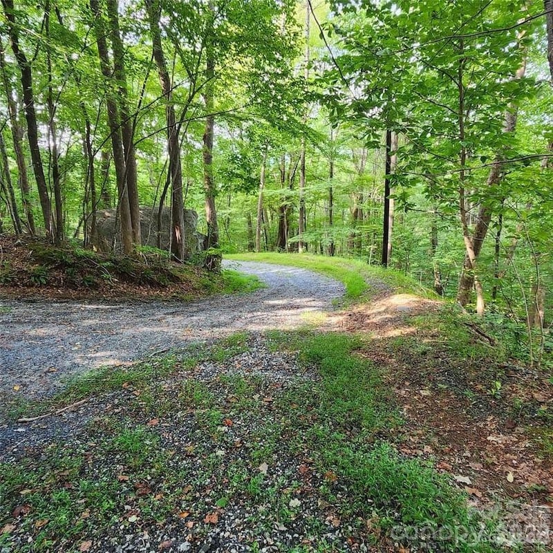 Switchback Rd, Lake Lure, NC 28746