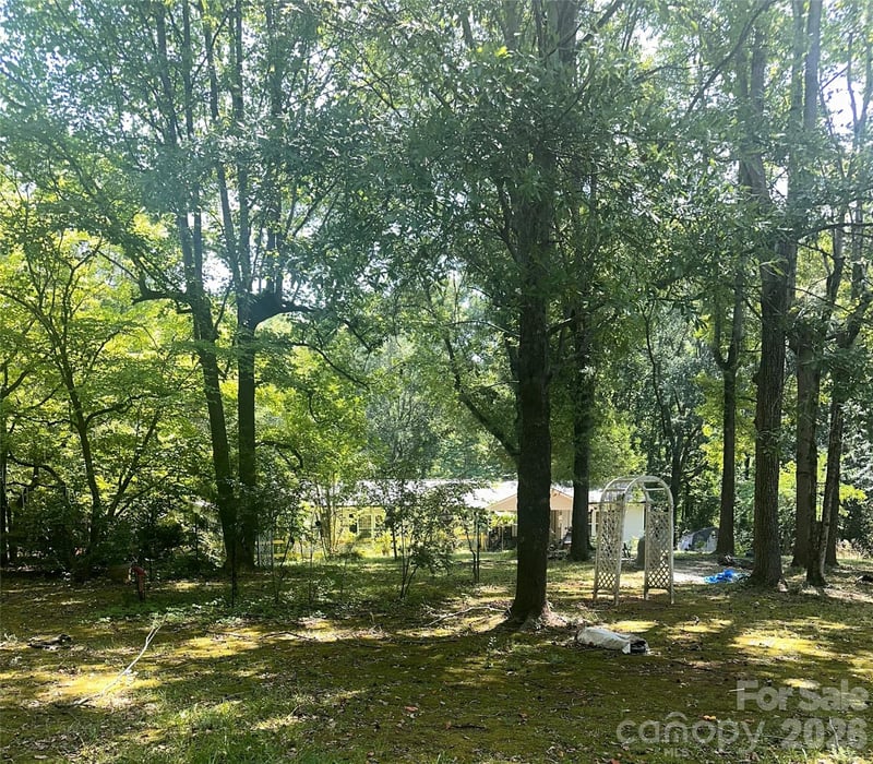 1062 Bayneswood Ln, Fort Mill, SC 29707