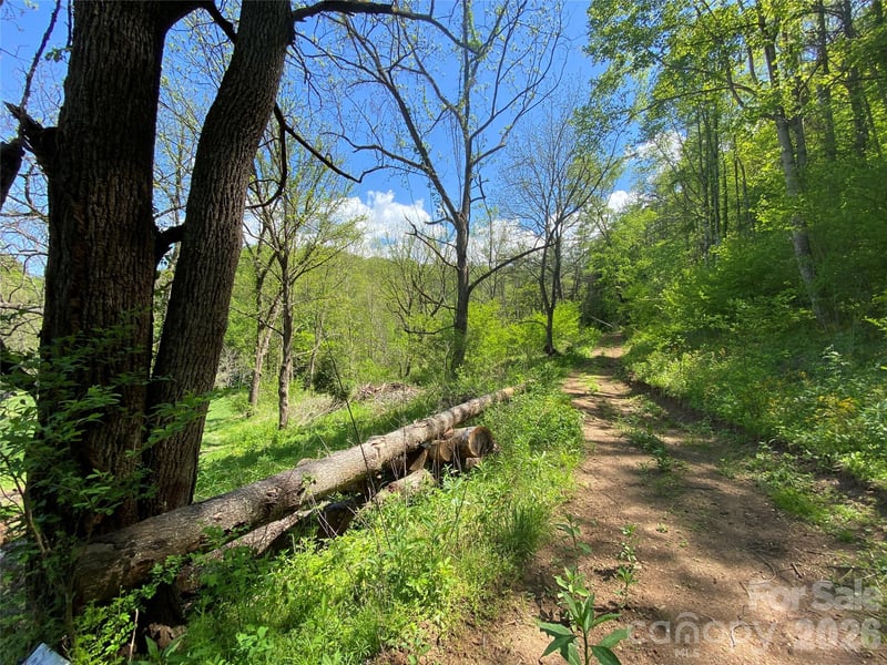 Tract 1 Hill Top Dr, Burnsville, NC 28714