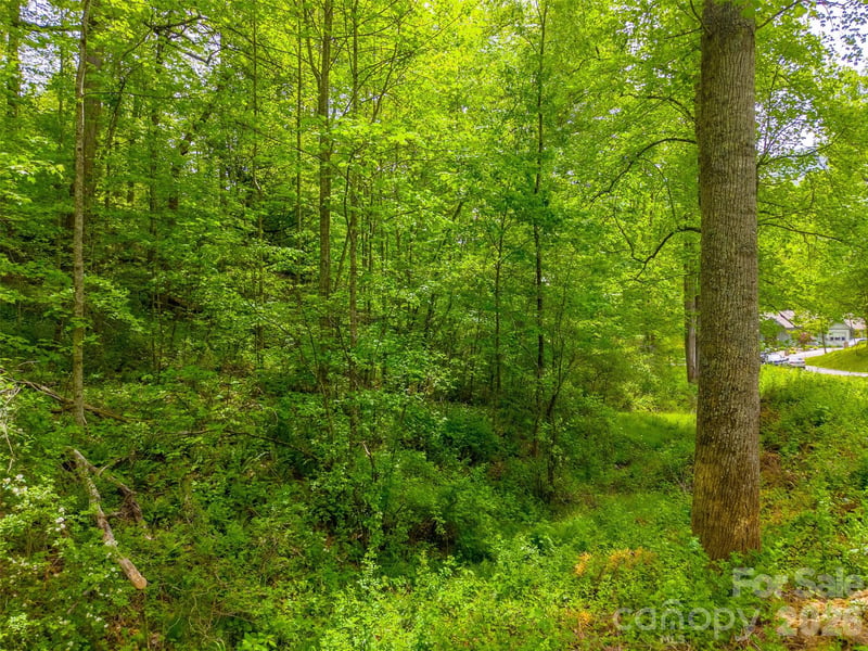 LT 27 Peak View Ln, Waynesville, NC 28785
