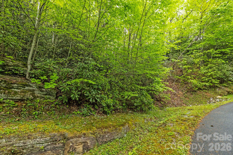 TBD Hickory Shaft Dr, Sapphire, NC 28774