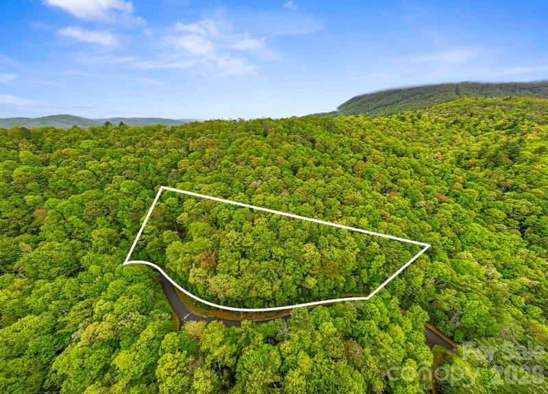 TBD Hickory Shaft Dr, Sapphire, NC 28774