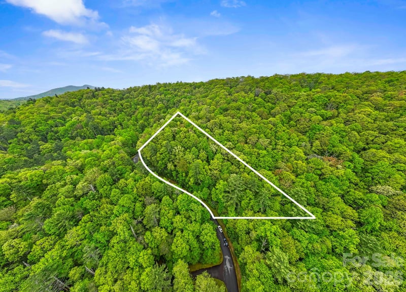 TBD Hickory Shaft Dr, Sapphire, NC 28774