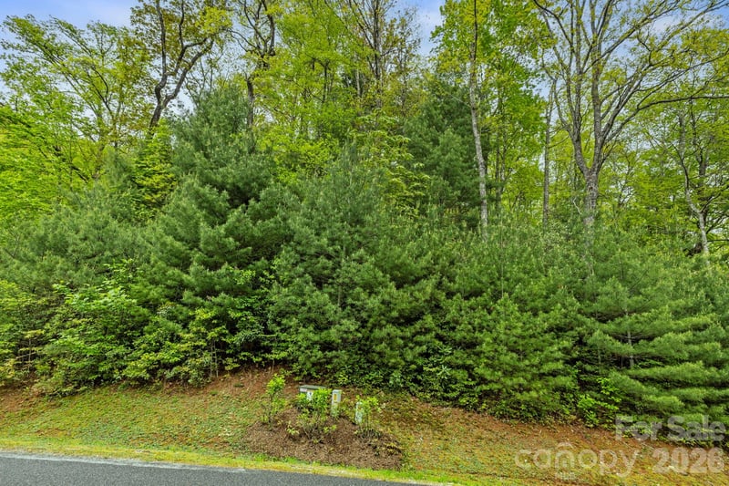 TBD Hickory Shaft Dr, Sapphire, NC 28774