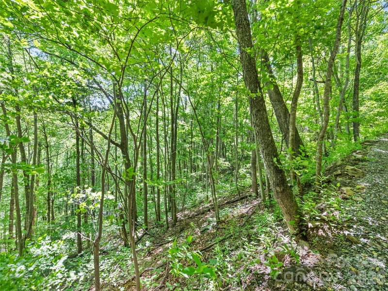 00 Rustic Rd, Waynesville, NC 28786