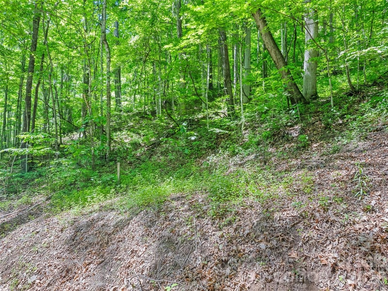 00 Rustic Rd, Waynesville, NC 28786