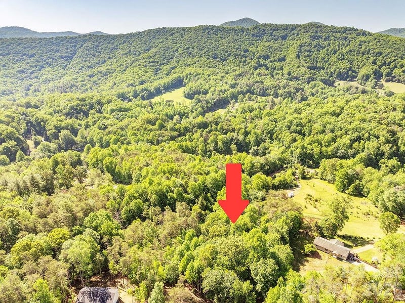99999 Suddreth Ln, Candler, NC 28715