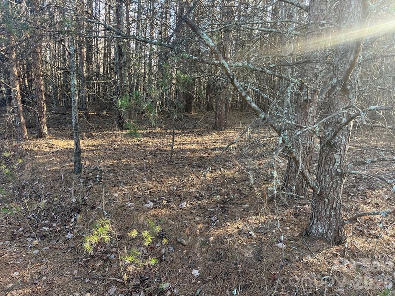 TBD Southern Way, Nebo, NC 28761