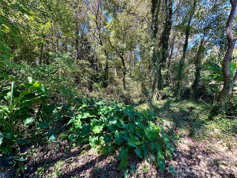 306 West Ave Lot B & C, Charlotte, NC 28208