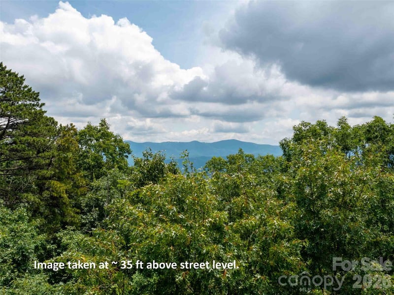 288 Eastman Pl, Mill Spring, NC 28756