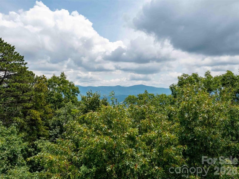 288 Eastman Pl, Mill Spring, NC 28756