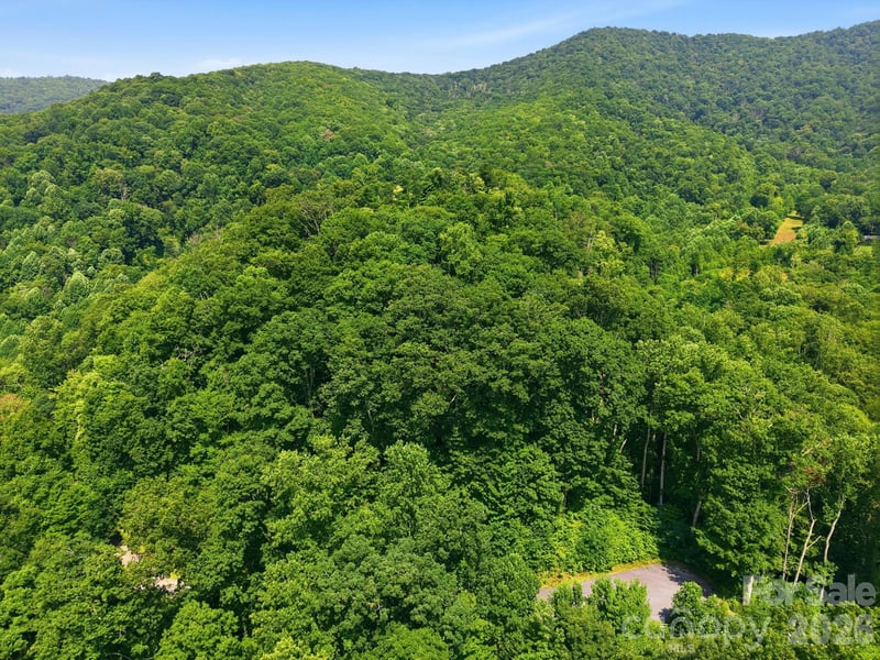 00 Triple Creek Dr #43, Clyde, NC 28721