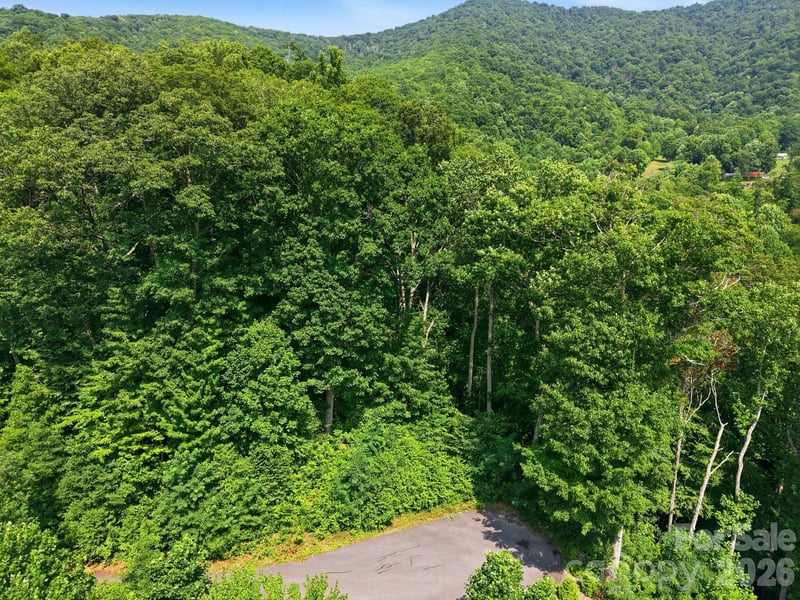 00 Triple Creek Dr #43, Clyde, NC 28721