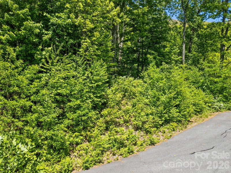 00 Triple Creek Dr #43, Clyde, NC 28721