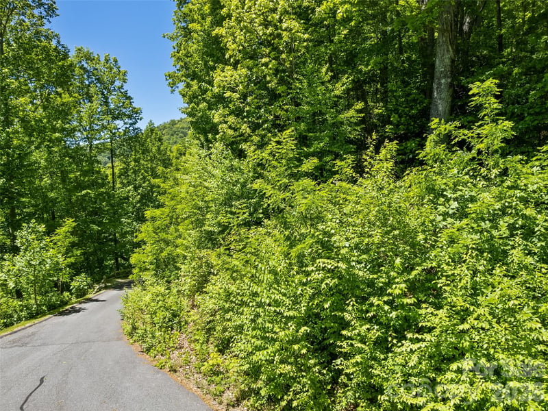 00 Triple Creek Dr #43, Clyde, NC 28721