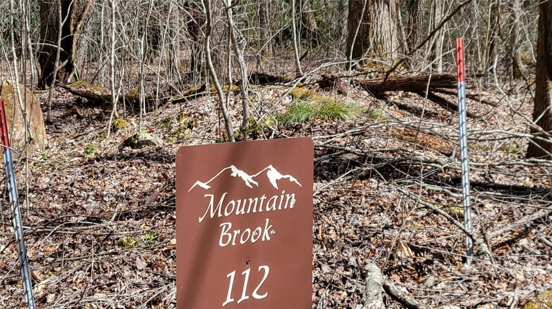 112 Rainbow Trout Rd, Burnsville, NC 28714