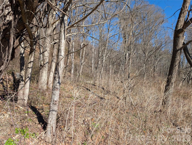 00 Great Smoky Mountain Expy Hw, Waynesville, NC 28786