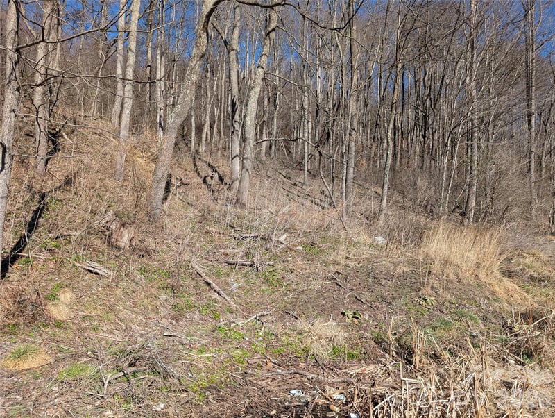 00 Great Smoky Mountain Expy Hw, Waynesville, NC 28786