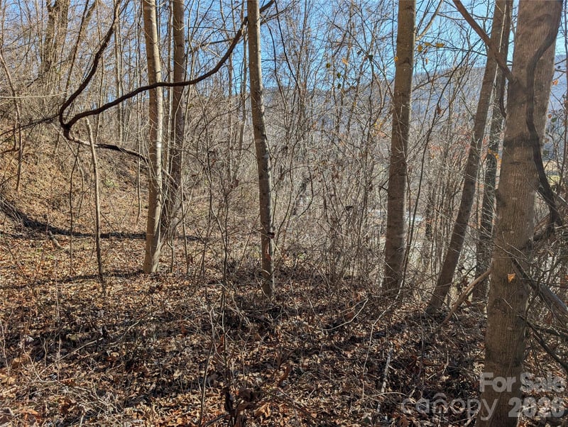 00 Great Smoky Mountain Expy Hw, Waynesville, NC 28786