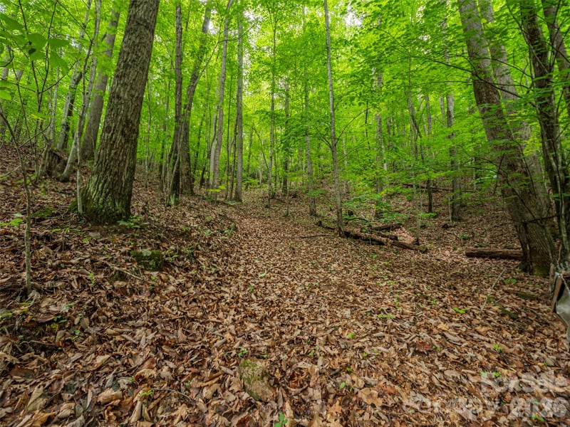 68 Long Ridge Rd, Candler, NC 28715