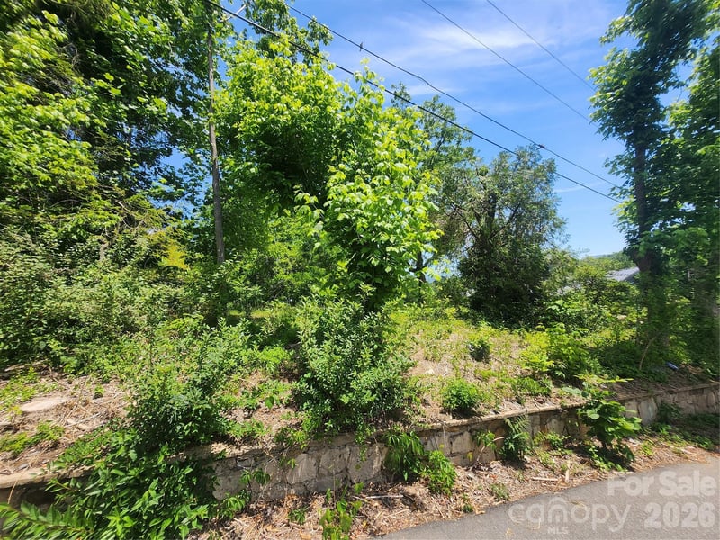 11 Weaver Hill Rd, Asheville, NC 28805