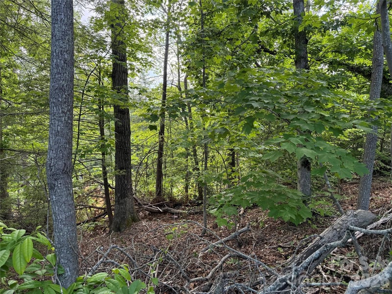 53 Will Rd #2, Hendersonville, NC 28792