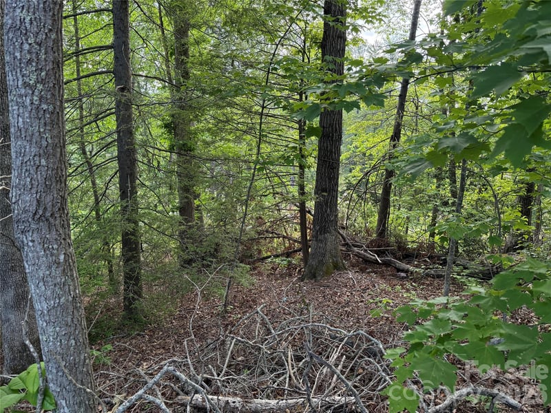 53 Will Rd #2, Hendersonville, NC 28792