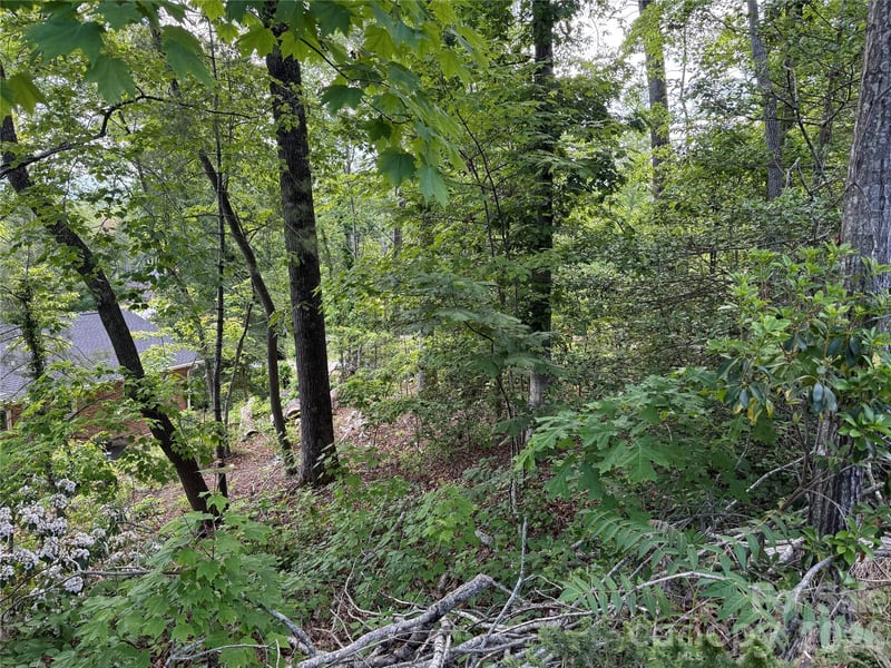 53 Will Rd #2, Hendersonville, NC 28792