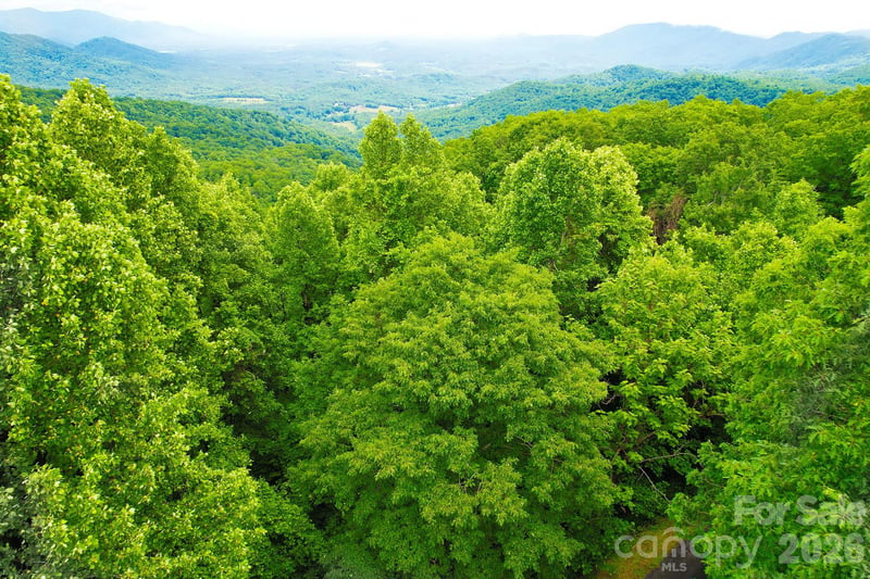 215 Laurel Mountain Trl #10, Black Mountain, NC 28711