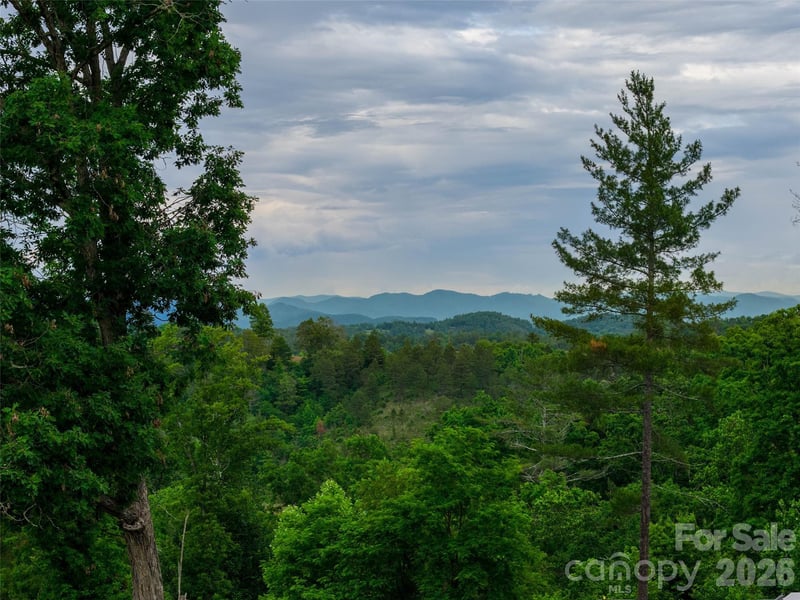 21 Joy Hughes Ln, Leicester, NC 28748