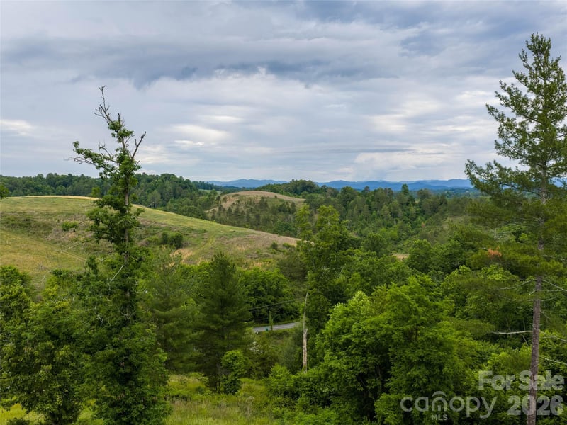 21 Joy Hughes Ln, Leicester, NC 28748