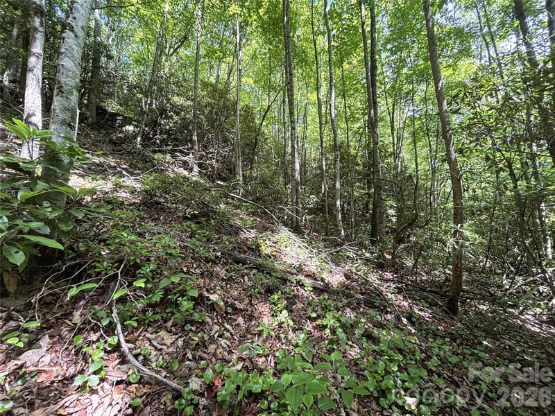 000 Valley View Dr, Maggie Valley, NC 28751