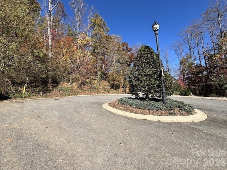 20 Lagrange Dr, Asheville, NC 28805