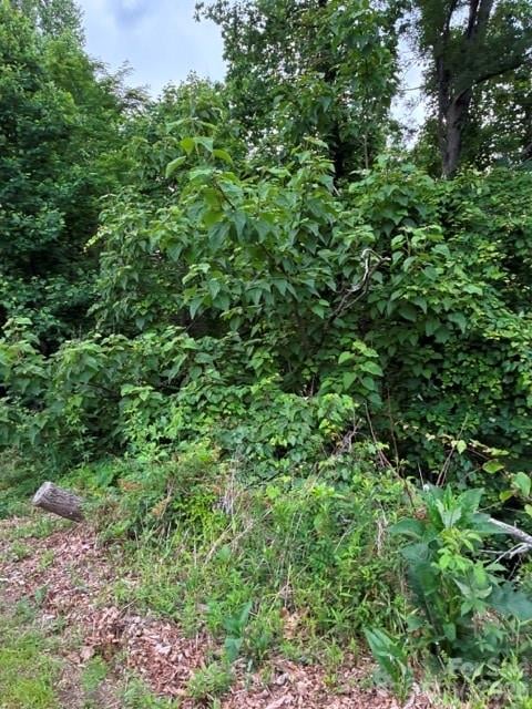 97 Devin Ridge Ln #97, Union Mills, NC 28167