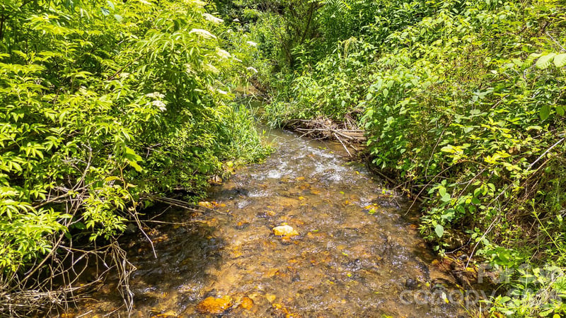 923 Newfound Rd, Leicester, NC 28748