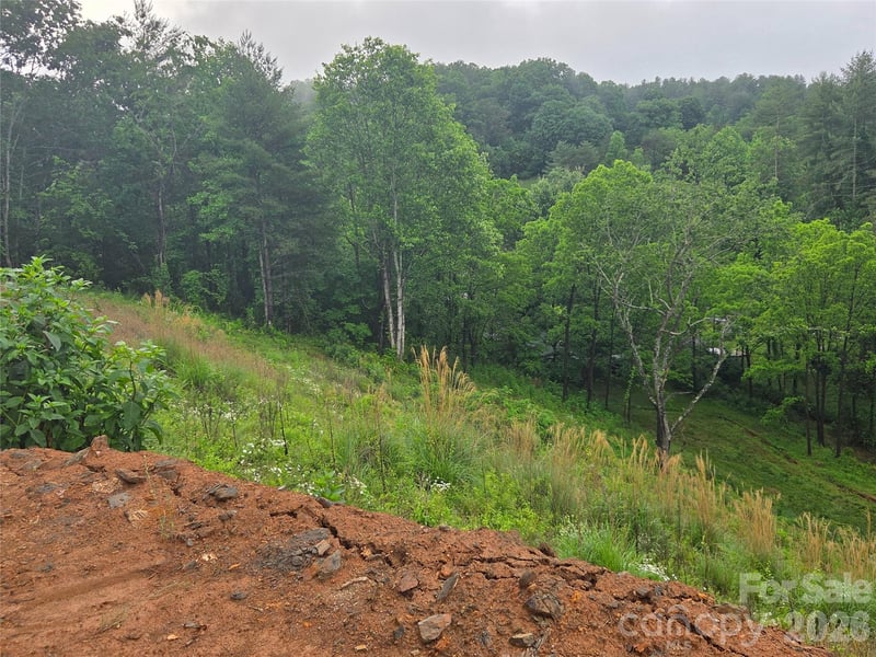 374 Big Branch Dr Lot 2 D, Mars Hill, NC 28754