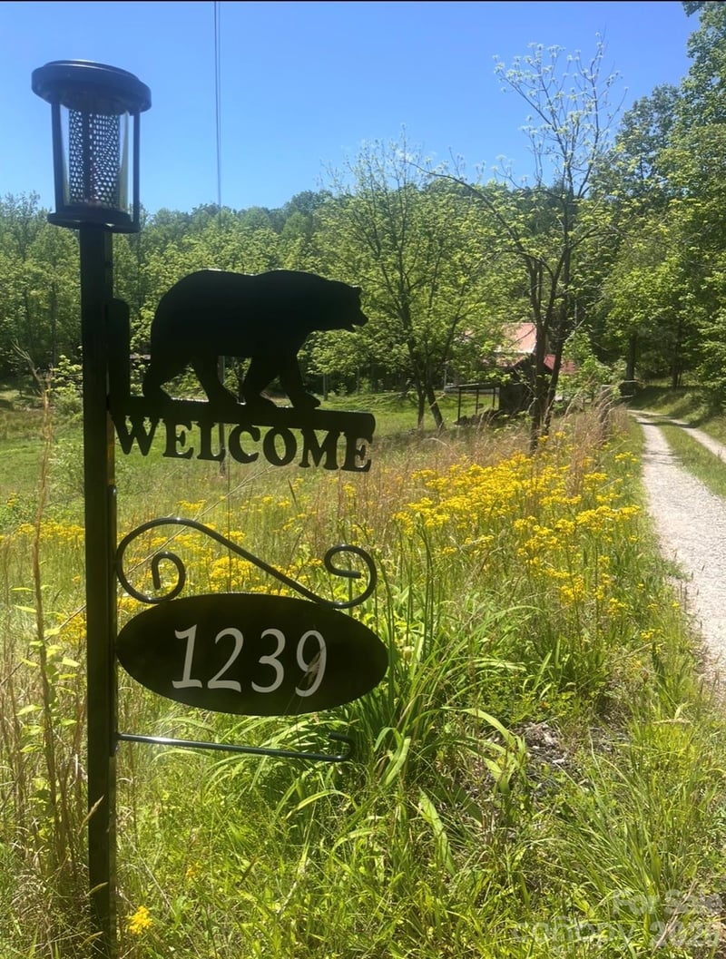 1239 Mcguinn Rd, Mill Spring, NC 28756