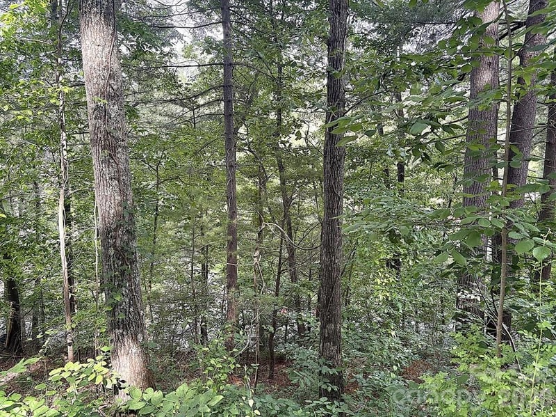 000 Toms Park Cir #66, Hendersonville, NC 28792