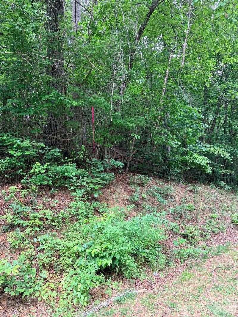 TBD Marley Ford Rd, Ferguson, NC 28624