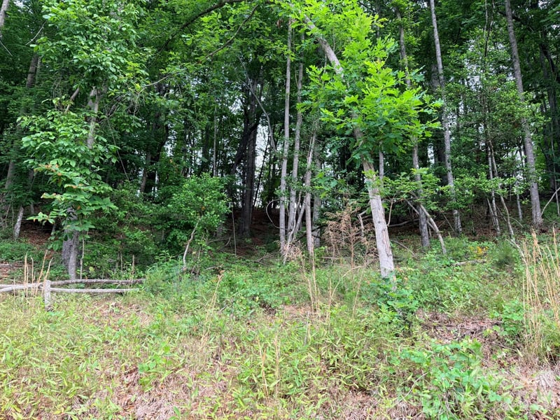 TBD Marley Ford Rd, Ferguson, NC 28624