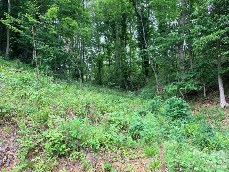 TBD Marley Ford Rd, Ferguson, NC 28624
