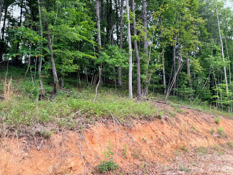 TBD Marley Ford Rd, Ferguson, NC 28624