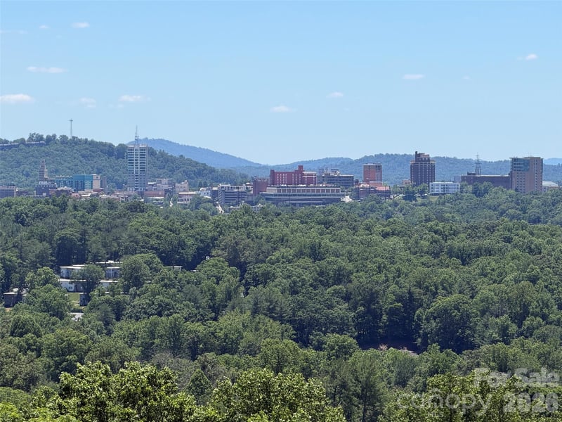 38 Lookout Rd, Asheville, NC 28804