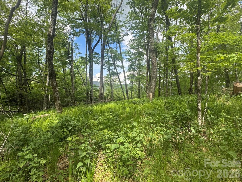 1026 Wolfs Head Ct, Mars Hill, NC 28754