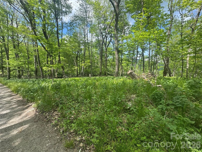 1026 Wolfs Head Ct, Mars Hill, NC 28754