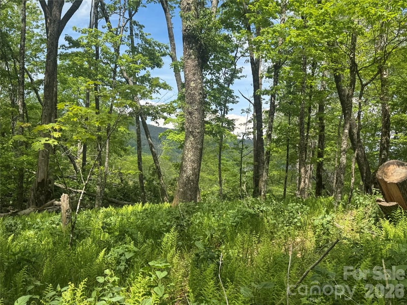 1026 Wolfs Head Ct, Mars Hill, NC 28754