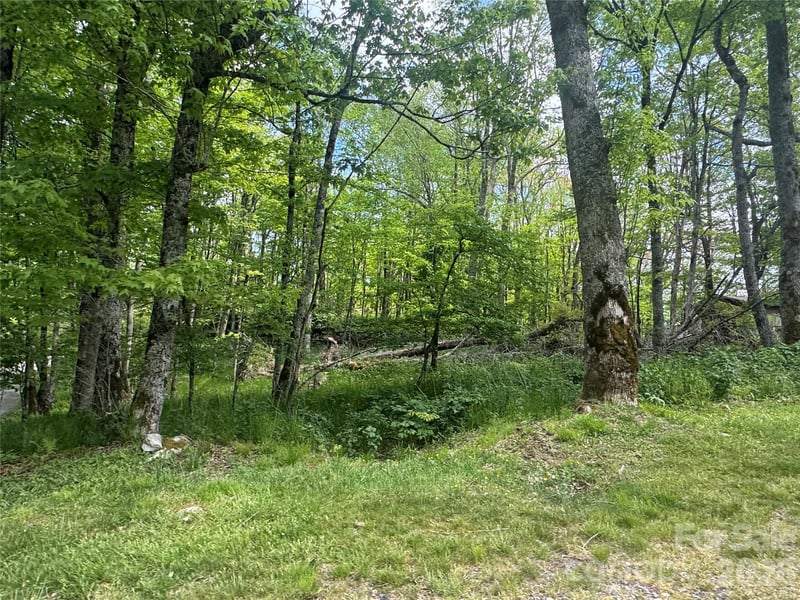 1026 Wolfs Head Ct, Mars Hill, NC 28754