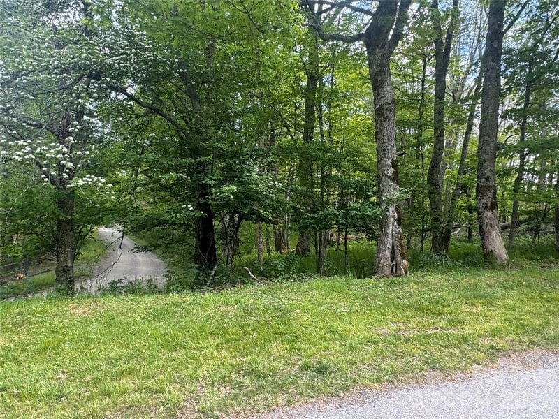 1026 Wolfs Head Ct, Mars Hill, NC 28754